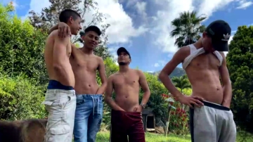 45w  17-08-2021 video ginger